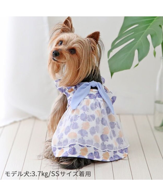 PET PARADISE ペットパラダイス エコメイド ワンピース 《貝柄 ブルー》 小型犬 ブルー
