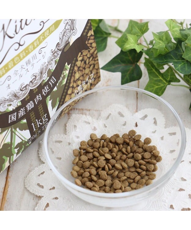 PET PARADISE ペットパラダイス  国産 ドッグフード ビオキッチン 3kg -