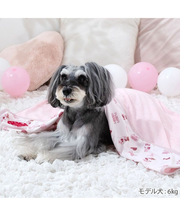 新品ミニーマウス 犬 クールペットハート柄 クール 小型犬