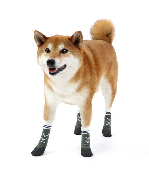 PET PARADISE 犬 靴 靴下 フィットシューズ 【SM】 グリーン ブラウン グリーン