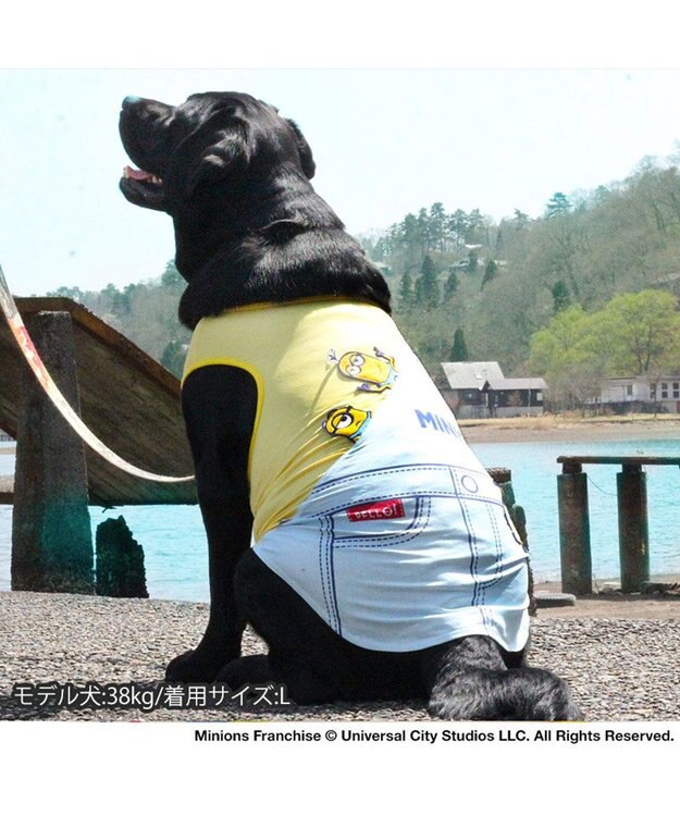 PET PARADISE ミニオン タンクトップ 【中型犬】【大型犬】サロペット風 クールマックスエコメイド 黄