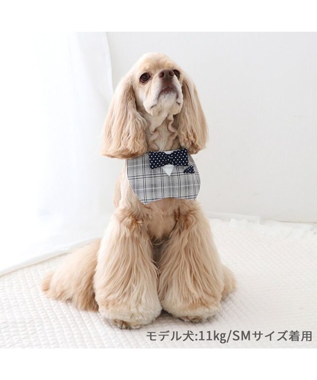 PET PARADISE ペットパラダイス 蝶ネクタイ スタイ 《チェック柄》 中型犬 大型犬 チェック柄