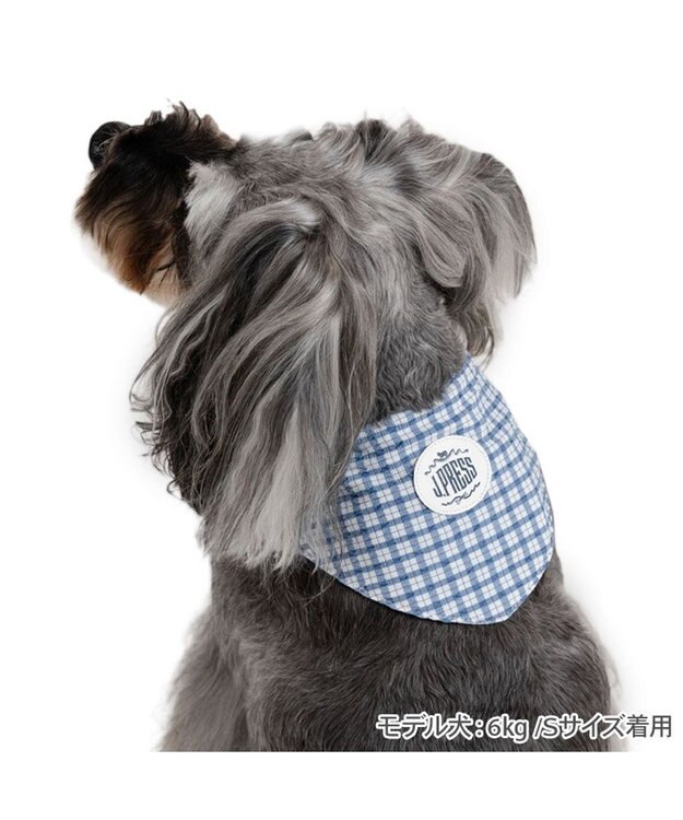 J.PRESS クールバンダナ 小型犬 / PET PARADISE | 【通販】雑貨