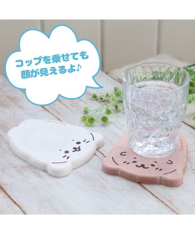 しろたん 珪藻土 コースター 《 しろたん柄 / らっこいぬ柄