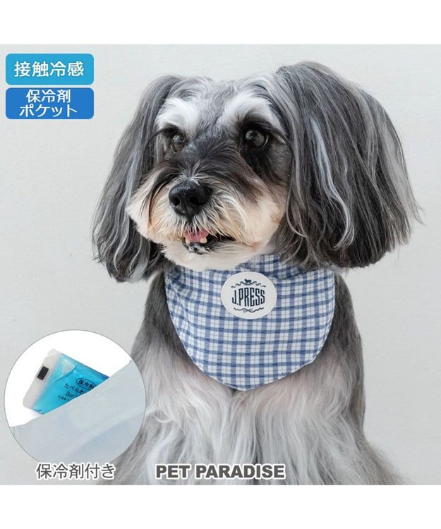 PET PARADISE J.PRESS クールバンダナ 小型犬 ホワイト×ネイビー