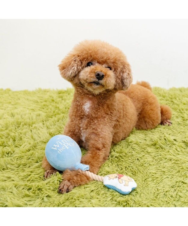 PET PARADISE ディズニー くまのプーさん 風船 トイ ブルー