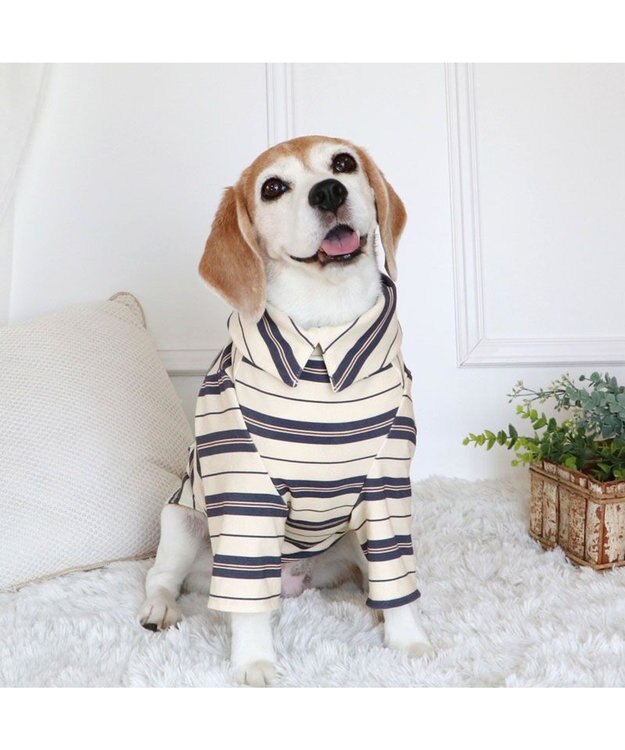 PET PARADISE ペットパラダイス  ペティヒー ト Tシャツ 《マルチボーダー 》中型犬 大型犬 ベージュ×グレー