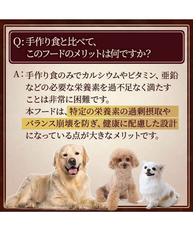 PET PARADISE ペットパラダイス ドッグフード ビオキッチン 3kg 国産 -