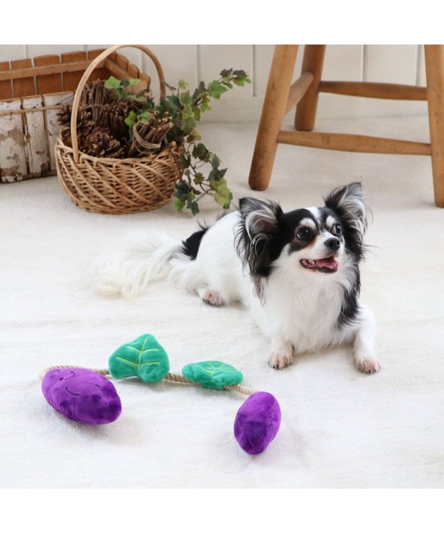 PET PARADISE 犬用品 ペットグッズ 犬 おもちゃ ペットパラダイス 犬 おもちゃ ロープ つる付き さつまいも| おうちで遊ぼう おうち時間 犬 おもちゃ オモチャ ペットのペットトイ 玩具 TOY 小型犬 おもちゃ かわいい おもしろ インスタ映え 黒