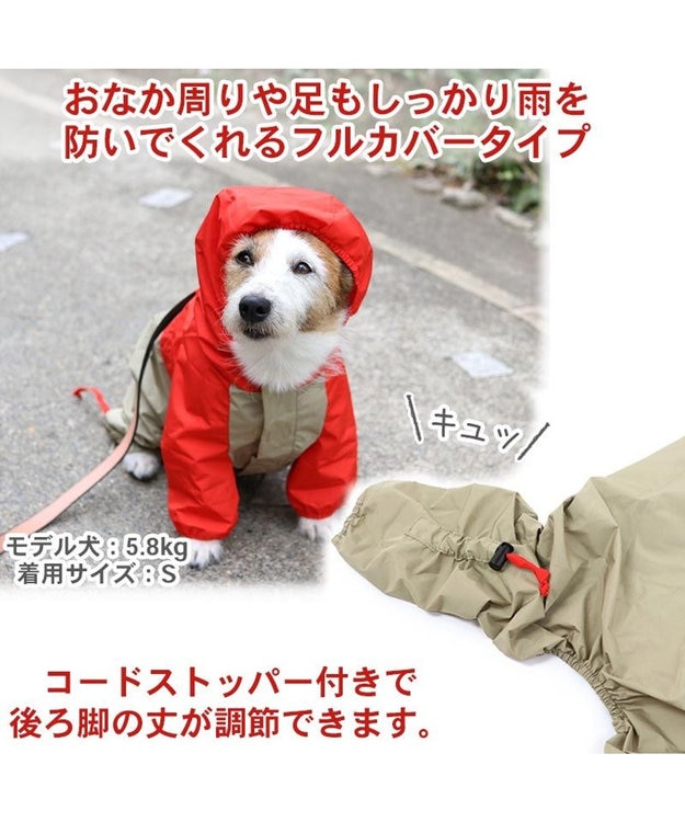 犬園 Dachshund ©chagenX #puppy #japan #tokyo #dog #dogs #longdog