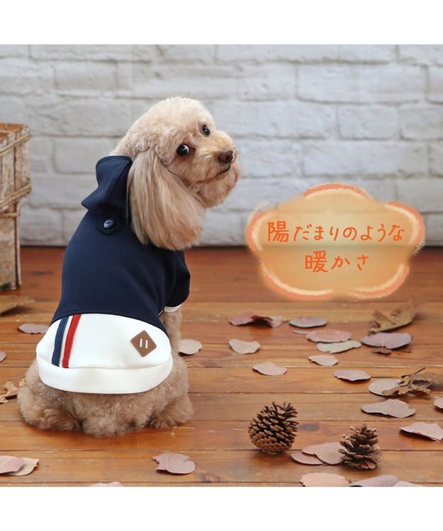 PET PARADISE ペットパラダイス  ペティヒート パーカー 《バイカラー》 小型犬 紺（ネイビー・インディゴ）
