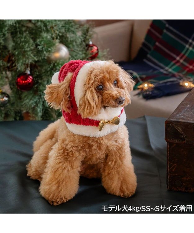 PET PARADISE ペットパラダイス サンタ-帽子 ４Ｓ～３Ｓ/ＳＳ～Ｓ  2026 小型犬 レッド