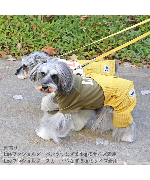 PET PARADISE Lee ワンショルダーパンツつなぎ  小型犬 グリーン