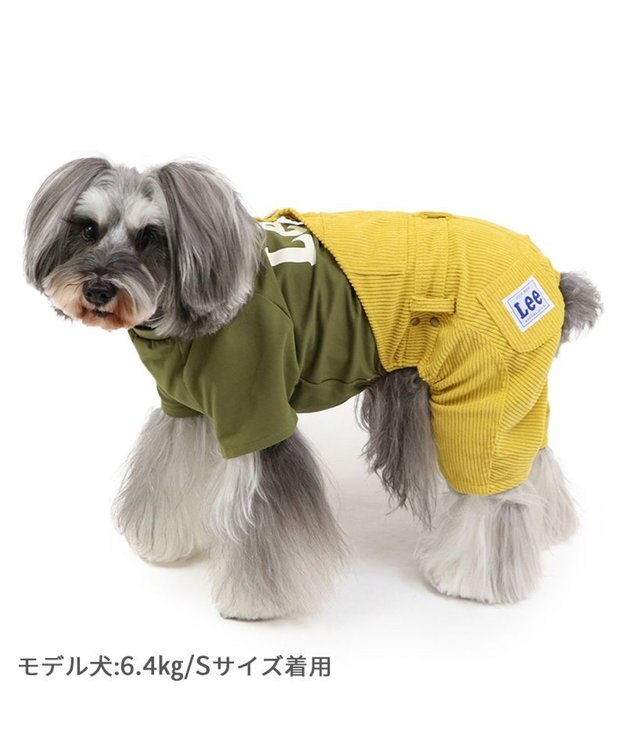 PET PARADISE Lee ワンショルダーパンツつなぎ  小型犬 グリーン