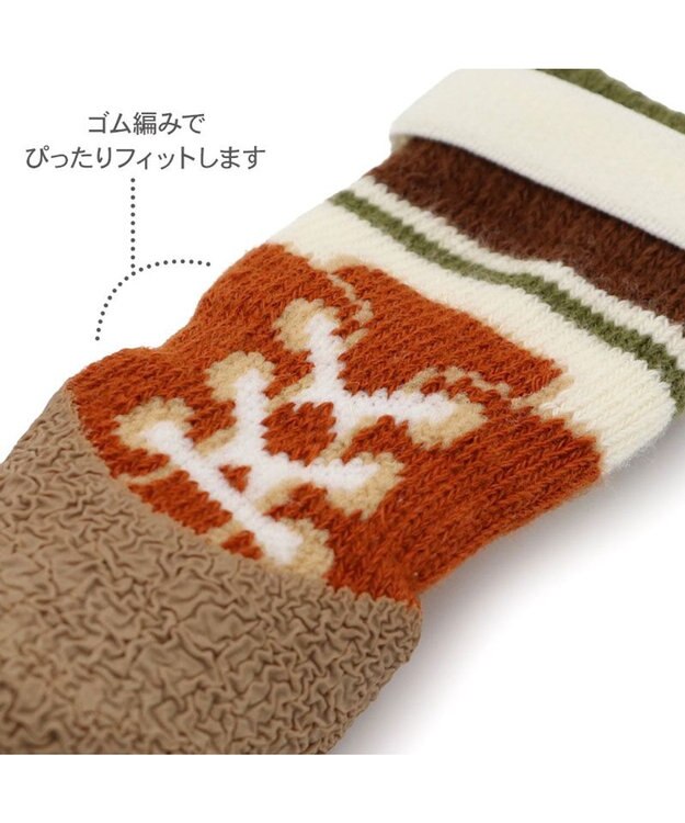 PET PARADISE ペットパラダイス ボーダー フィット靴 Ｓ レッド×ベージュ