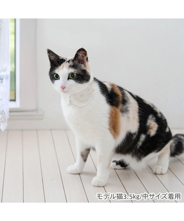 もっちりねこ　バラエティー ペットパラダイス 猫首輪 お花襟付き S / M / PET PARADISE