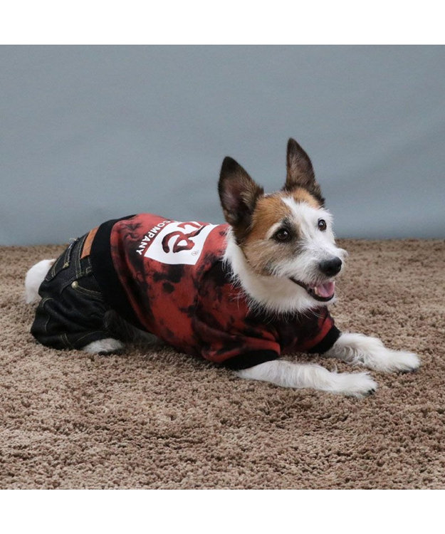 PET PARADISE Lee タイダイ つなぎパンツ  小型犬 0