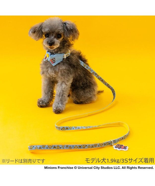 PET PARADISE ミニオン デニム襟付き首輪 SS ブルー