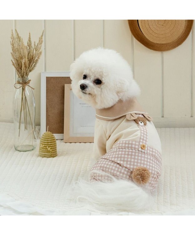 PET PARADISE ペットパラダイス くまちゃん パンツつなぎ 小型犬 ベージュ