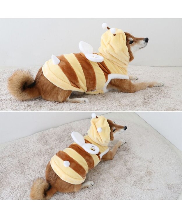 PET PARADISE ペットパラダイス パーカー 《蜂 なりきり》 中型犬 大型犬 イエロー