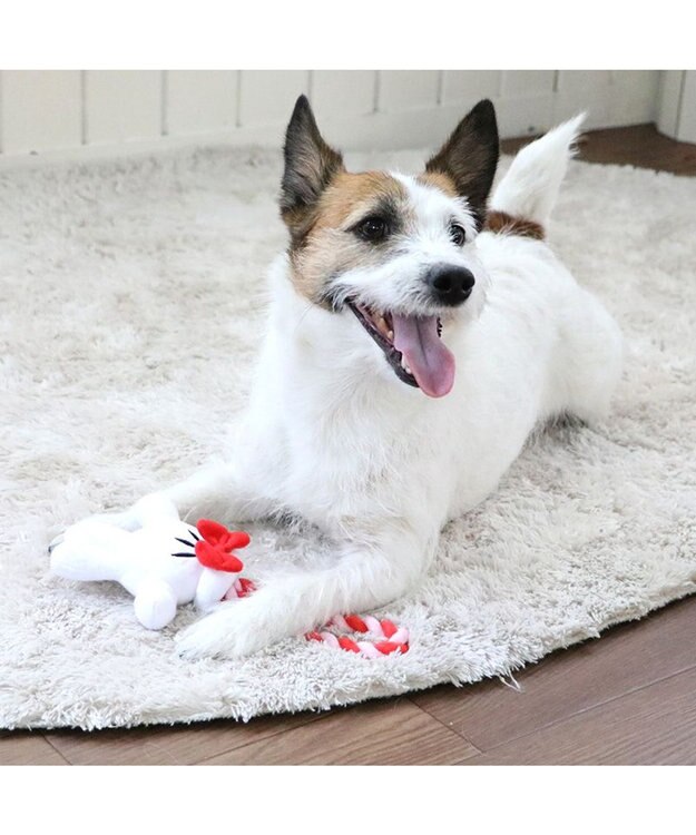 PET PARADISE ディズニー ミニーマウス 《手のロープトイ》 犬用おもちゃ -