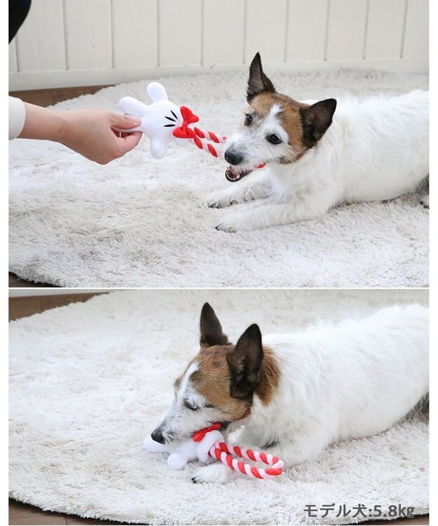 PET PARADISE ディズニー ミニーマウス 《手のロープトイ》 犬用おもちゃ -