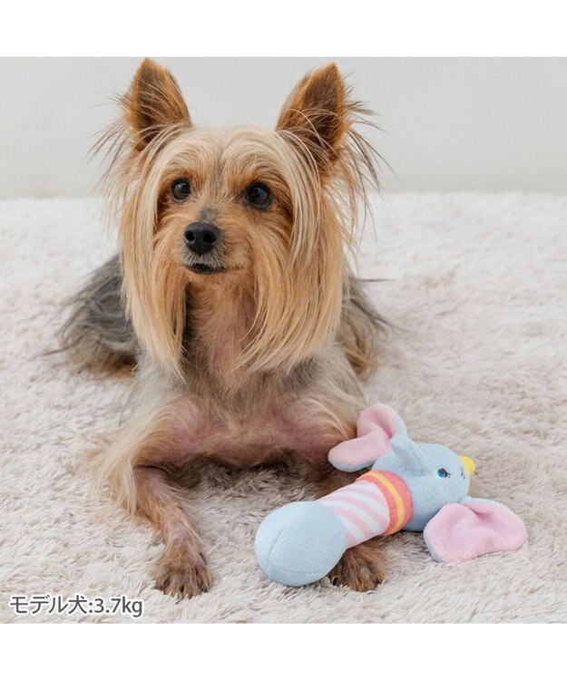 PET PARADISE ディズニー ダンボ ダンベルトイ ブルー