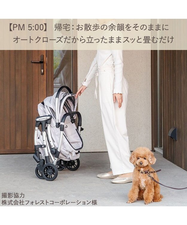 PET PARADISE ペットパラダイス スムーカネオ ３ｗａｙ 《グレー》 ライトグレー