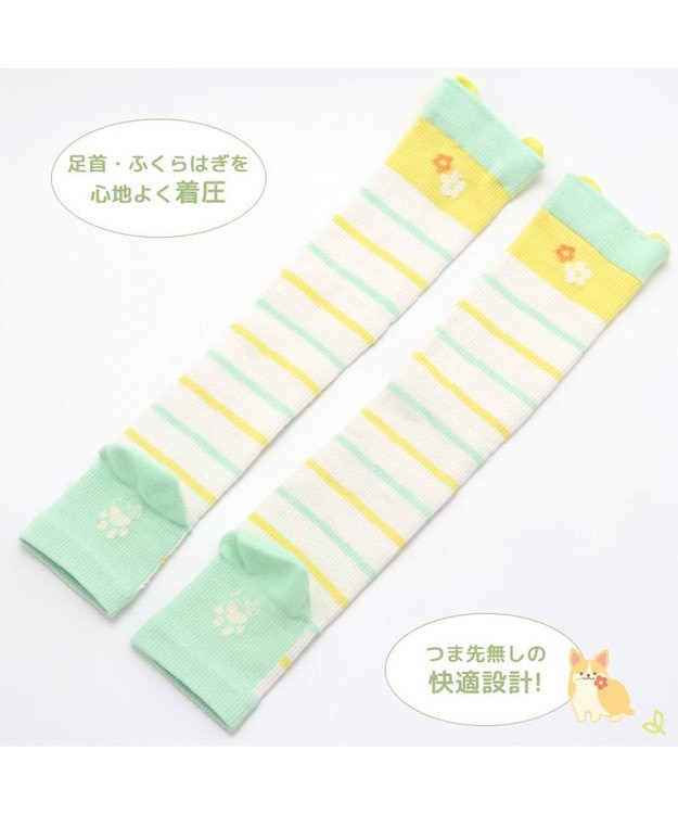 Mother garden マザーガーデン ふわんこ コーギー ひざ下 着圧靴下 レディースフリーサイズ -