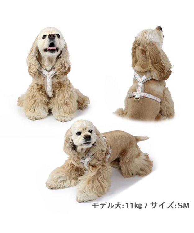 PET PARADISE 反射 花柄 アクティブハーネス 【ＳM】中型犬 茶系