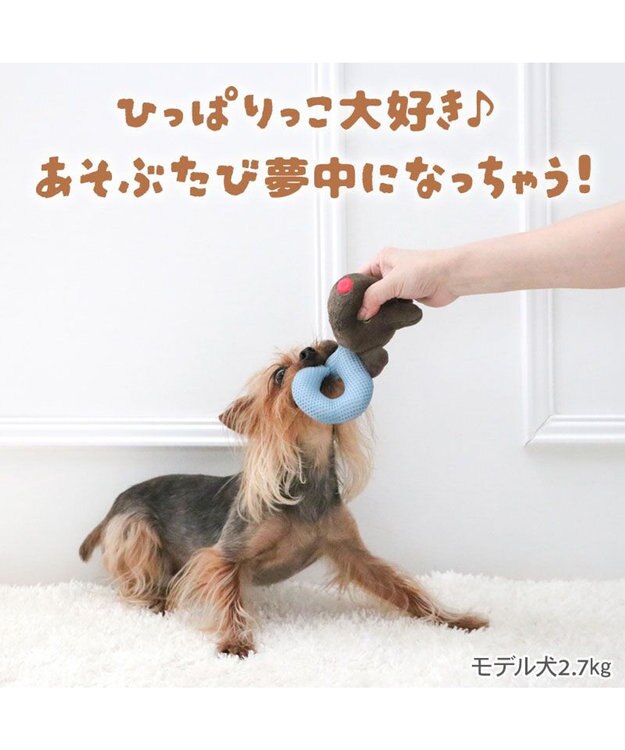 PET PARADISE リサとガスパール ガスパール わっか トイ ブルー