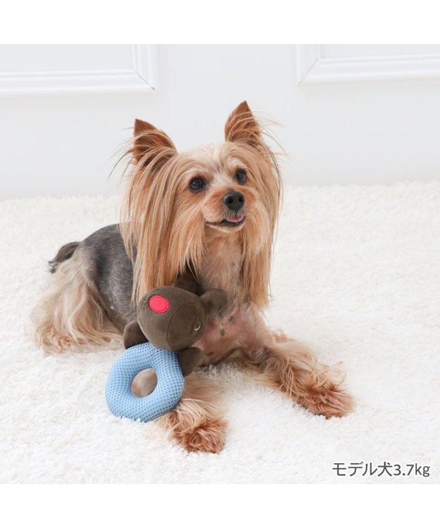 PET PARADISE リサとガスパール ガスパール わっか トイ ブルー