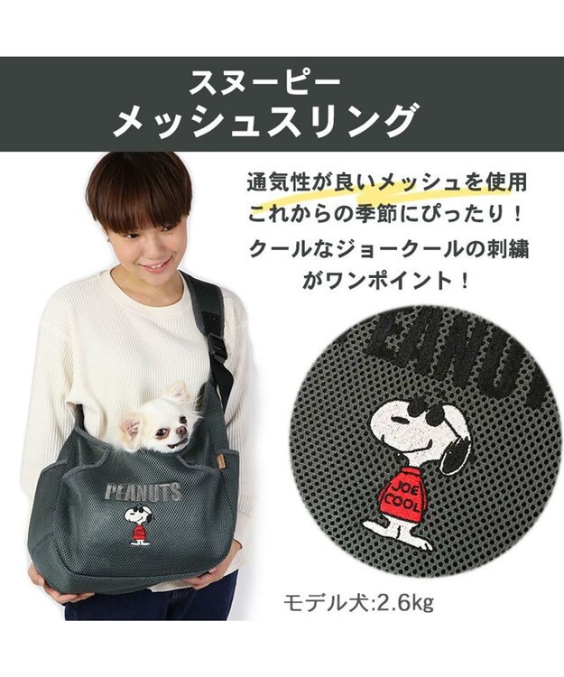 PET PARADISE スヌーピーソフト メッシュ 【超小型犬】 グレー