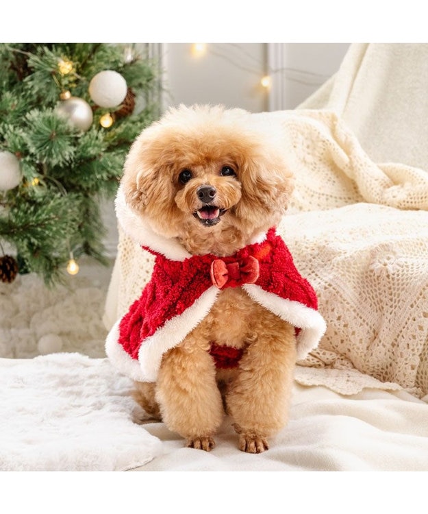 PET PARADISE ペットパラダイス サンタ ポンチョ 2025 小型犬 レッド
