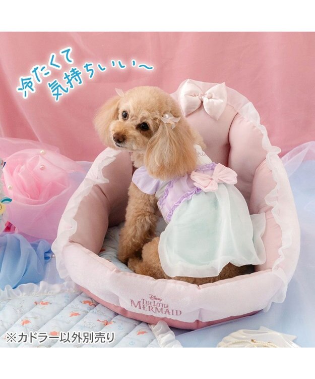 PET PARADISE ディズニー リトルマーメイド アリエル シェル カドラー ピンク