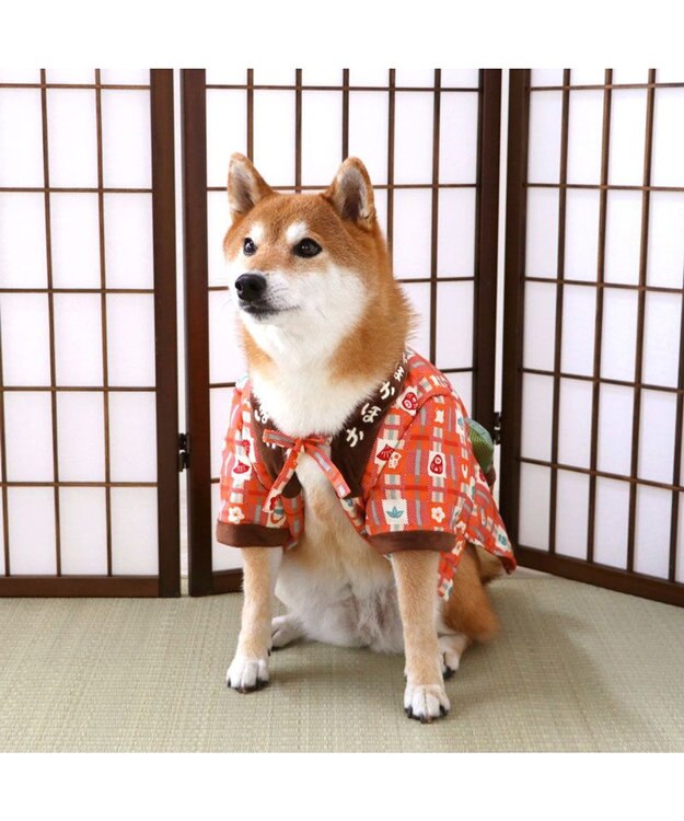 PET PARADISE ペットパラダイス おもちゃ付き ホカホカ半纏 中型犬 大型犬 レッド