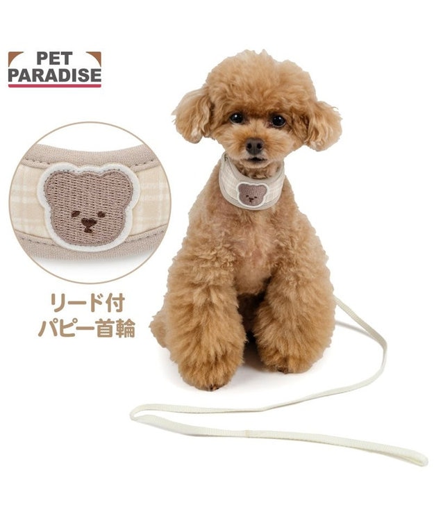 PET PARADISE ペットパラダイス リード付き首輪 《くまちゃん》 小型犬 ベージュ