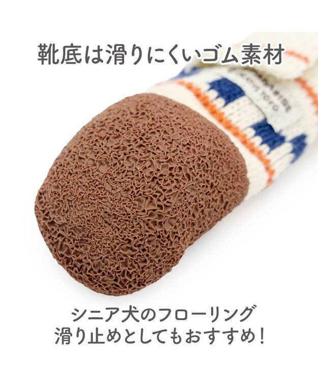PET PARADISE ペットパラダイス スポーティー シューズ Ｍ ネイビー