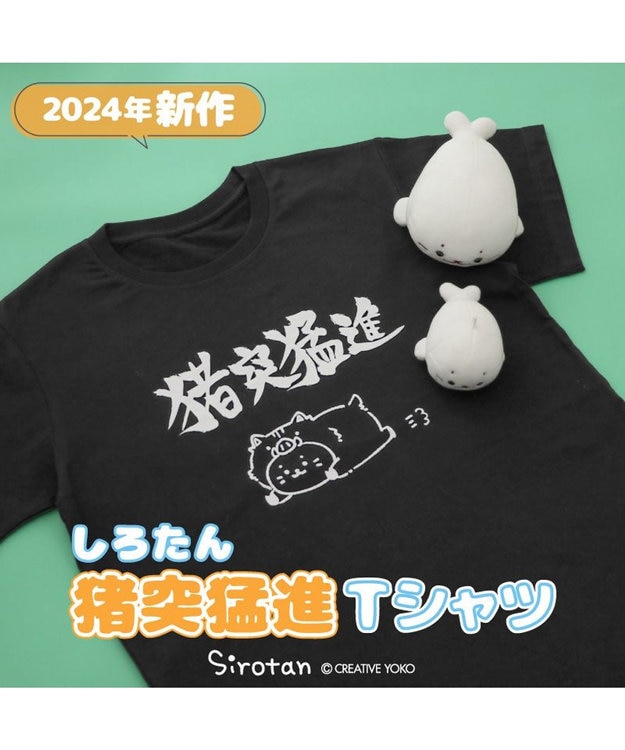 しろたん　Tシャツ　限定 ネット店限定】しろたん Tシャツ 半袖 《散！磁力柄》 黒色 S/M