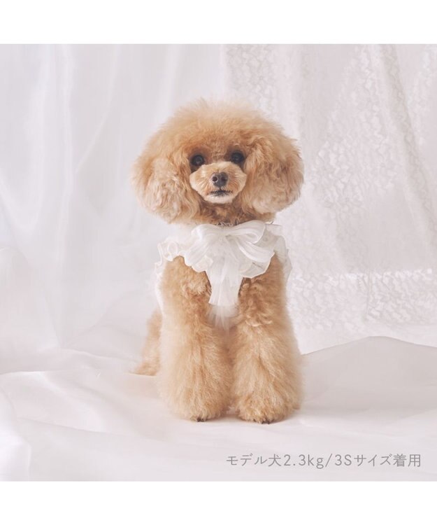 PET PARADISE cherircouture フリフリハーネス 《ホワイト》 小型犬 ４Ｓ/３Ｓ ホワイト