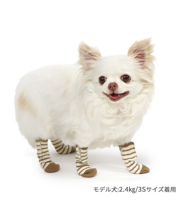 PET PARADISE ペットパラダイス makokoro スリット 靴下 《ボーダー》  Ｓ 小型犬 ボーダー