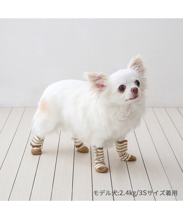 PET PARADISE ペットパラダイス makokoro スリット 靴下 《ボーダー》  Ｓ 小型犬 ボーダー