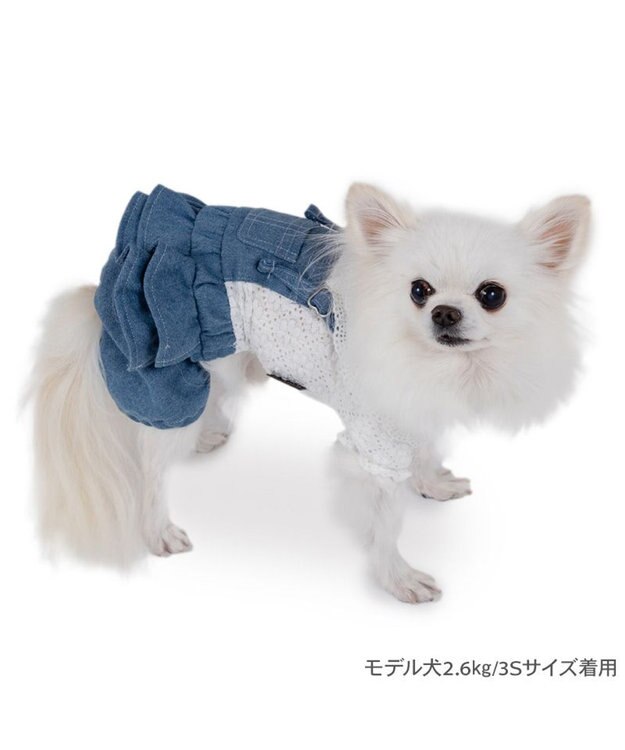 PET PARADISE ペットパラダイス レース襟 パンツつなぎ 小型犬  ホワイト×ネイビー
