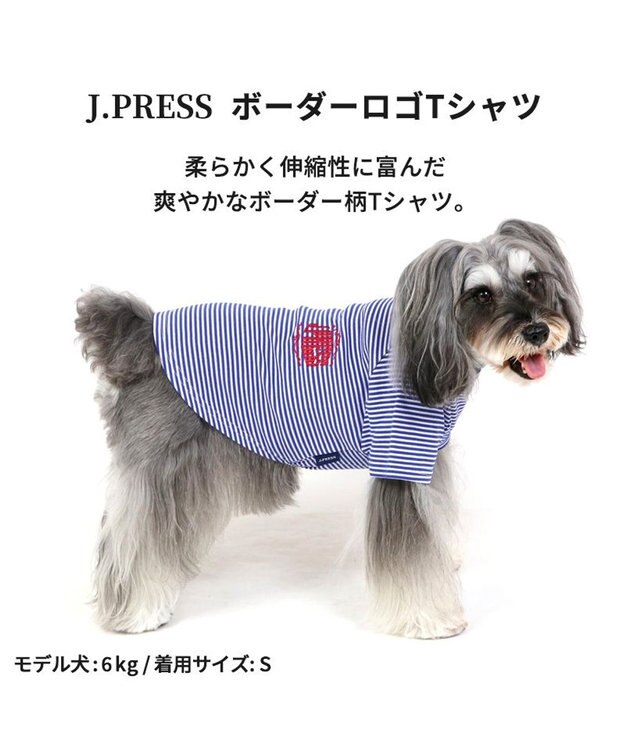 PET PARADISE 犬の服 犬 冬服 tシャツ J.PRESS【小型犬】 ボーダー ロゴ 紺（ネイビー・インディゴ）