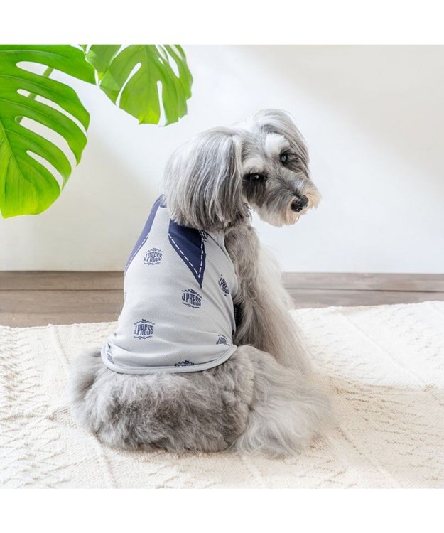 PET PARADISE J.PRESS エコメイド 総柄 タンクトップ 小型犬 グレー×ネイビー