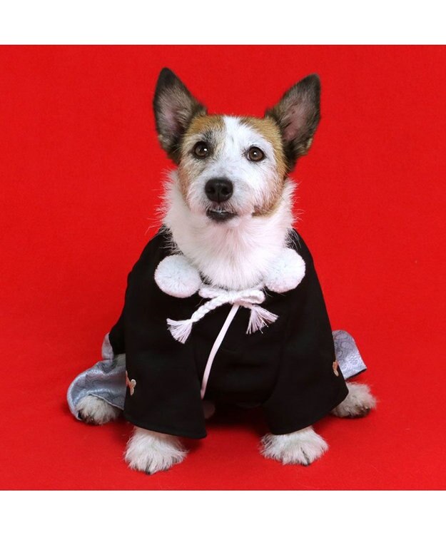 PET PARADISE ペットパラダイス 金糸紋付き袴 小型犬 黒