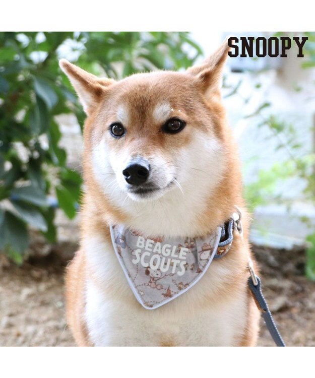 PET PARADISE スヌーピー 首輪 ビーグルスカウト柄 反射付き【ＳＭ】 中型犬 グレー