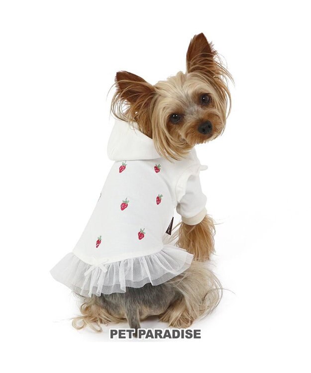 PET PARADISE ペットパラダイス パーカー 苺柄 《ホワイト》 小型犬 ホワイト