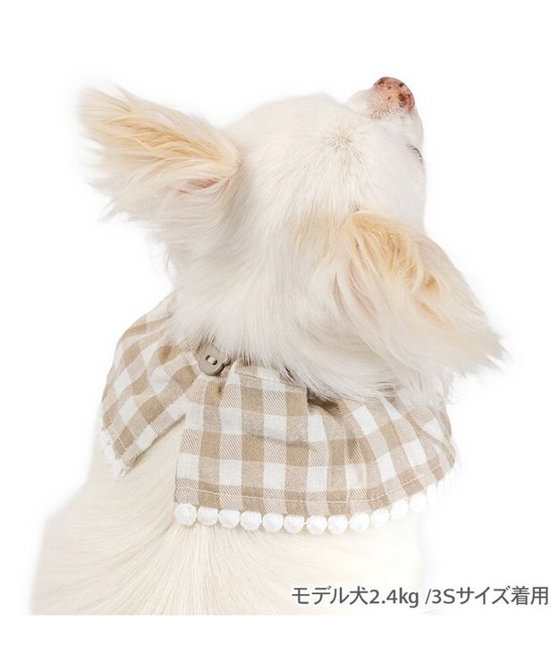 PET PARADISE ペットパラダイス くまちゃん シュシュ スタイ 小型犬 モカ×ホワイト