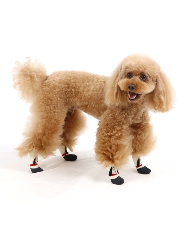 PET PARADISE スヌーピー フィットシューズ 靴下【SS】 -